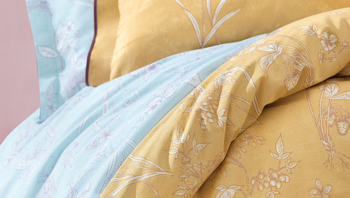 Renforcé Cotton Duvet Cover Set Menard, with Bed Sheet, 240x220 cm