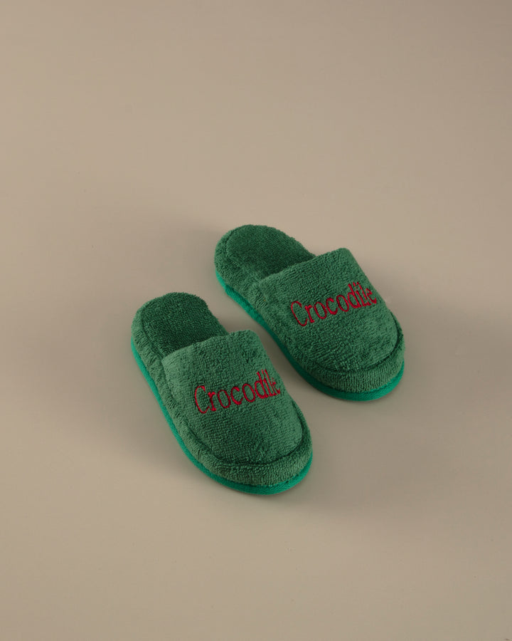 Organic Kids Slippers Crocodile, 100% Organic Cotton, age 4-6